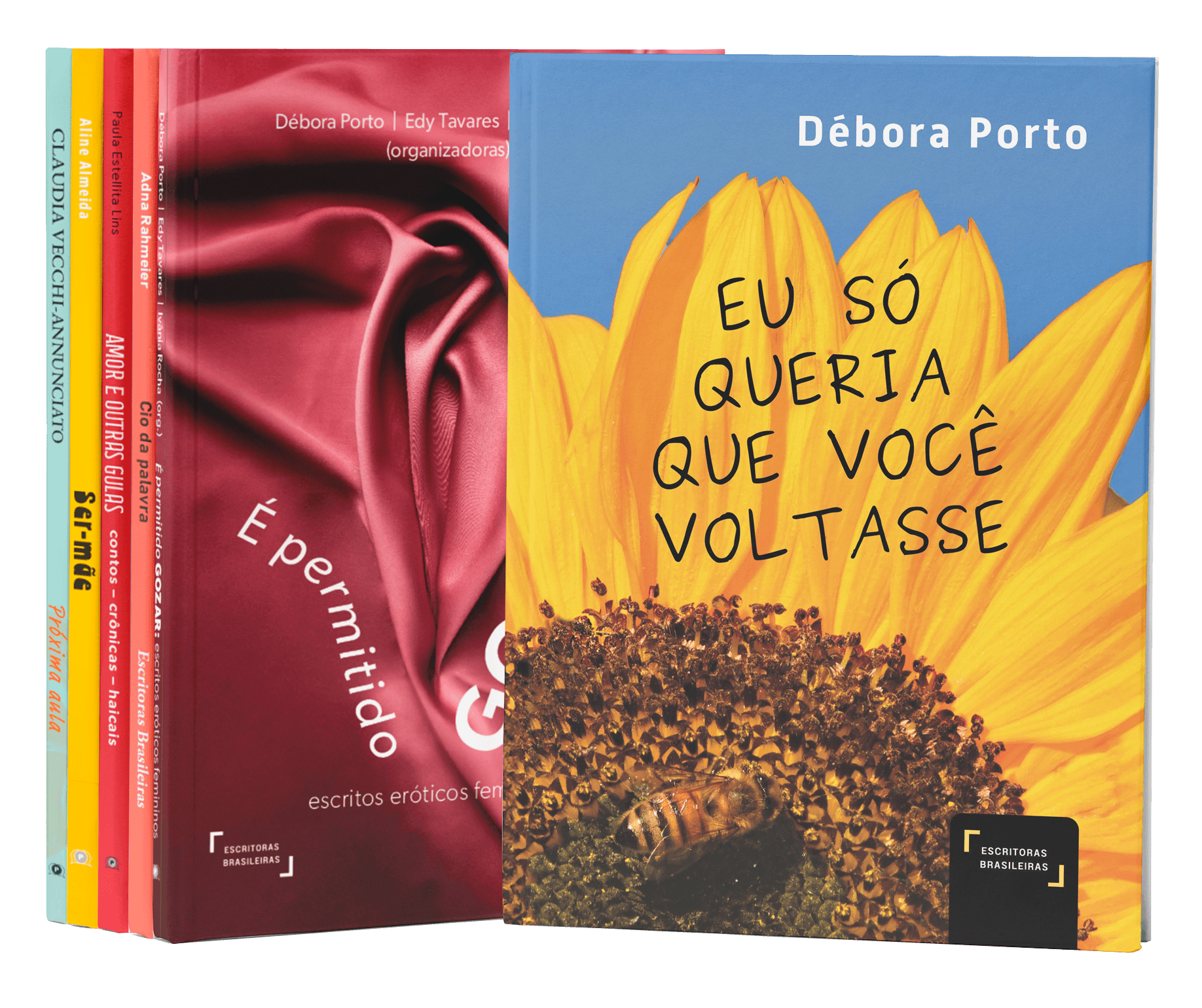 Alguns livros da escola de escritoras